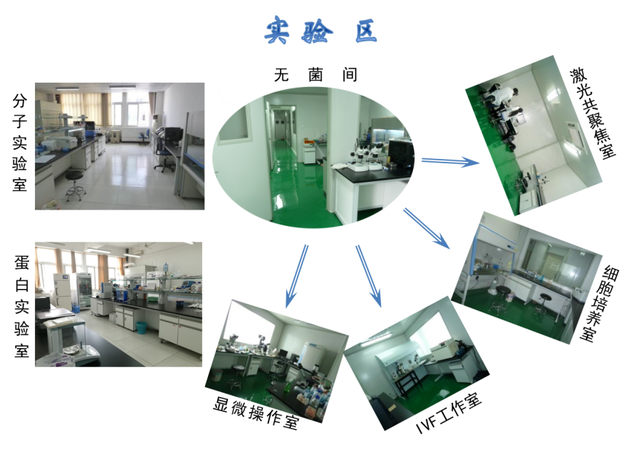 招收生物类硕士可跨专业调剂—胚胎发育与生殖调节安徽省重点实验室(阜阳师范学院)-1