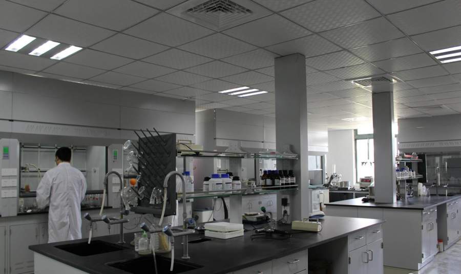 康化(上海)新药研发有限公司 招聘有机合成研究员 提供宿舍-4