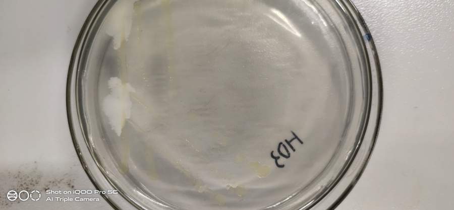 细菌鉴定,急急急!!!-3