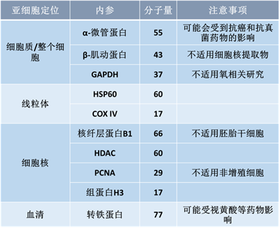 Western Blot进阶技巧第一弹——从了解目的蛋白开始-2