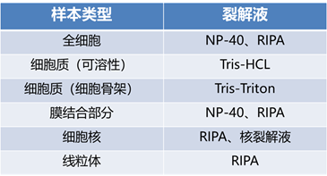 Western Blot进阶技巧第一弹——从了解目的蛋白开始-1