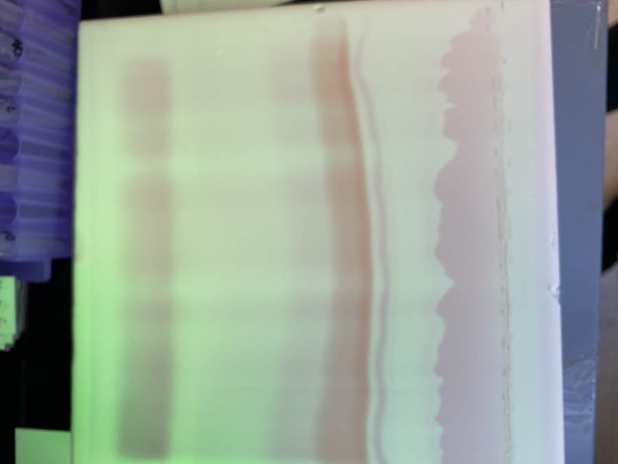 跑大板得不到纯的产品-3