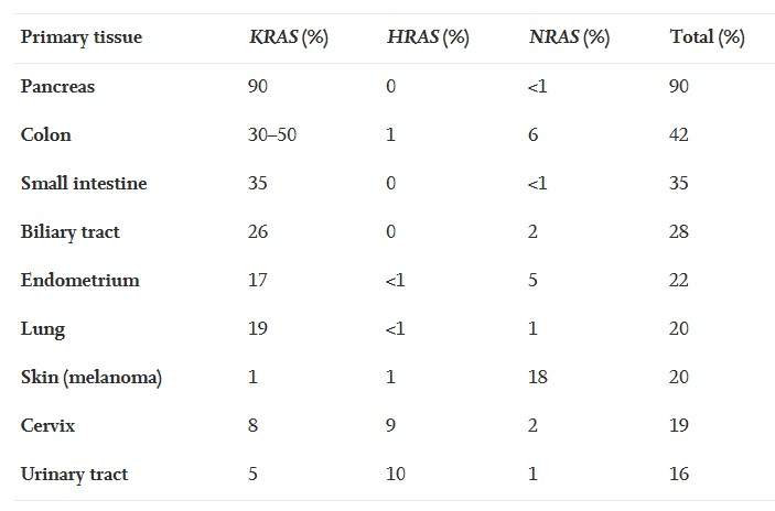 热门靶点-Kras介绍-3
