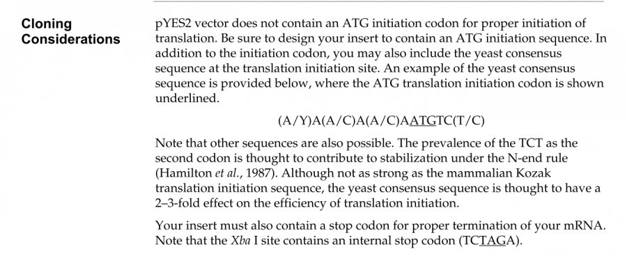 酿酒酵母中表达葡萄糖醛酸酶基因