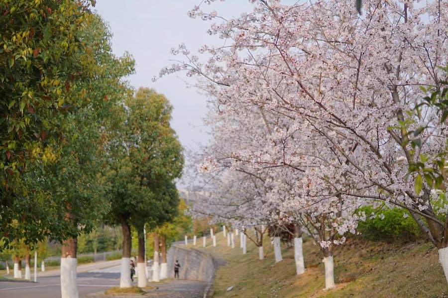 重庆三峡学院-电子与信息工程学院,考研调剂招生信息