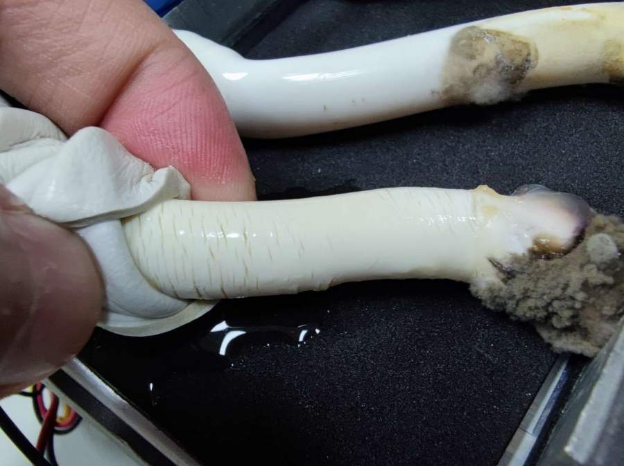 PU管老化问题求助