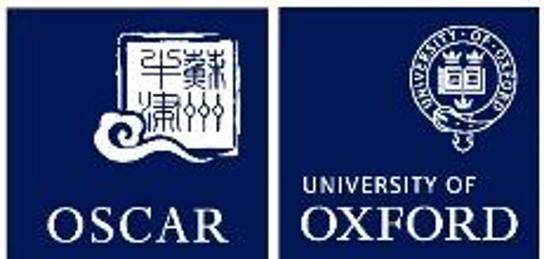 牛津大学(苏州)高等研究院,Mauro Pasta教授,能源存储与转化实验室招聘,电池and氢-2
